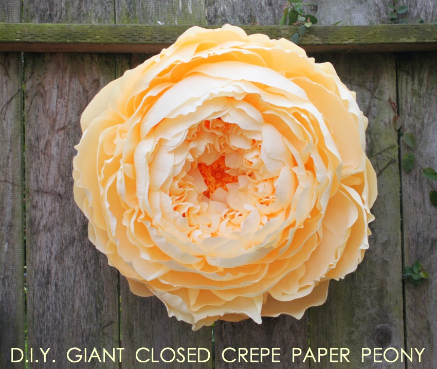 GIANT CLOSED CREPE PAPER PEONY