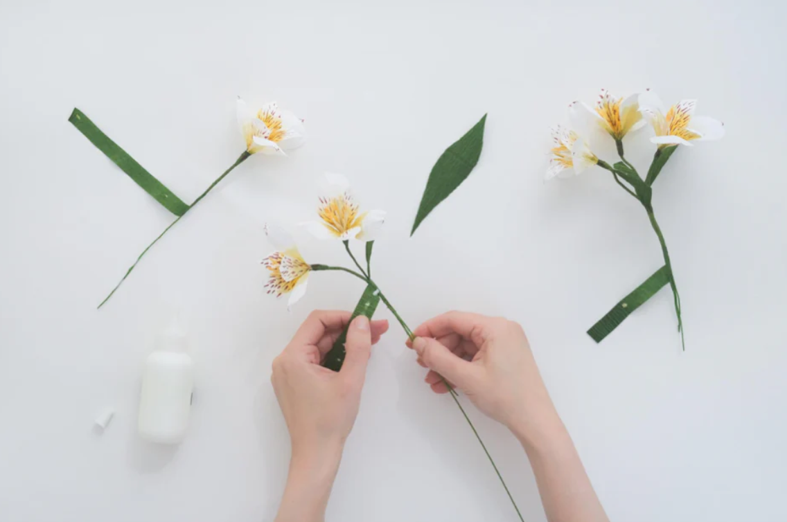 Alstroemeria - Peruvian Lily