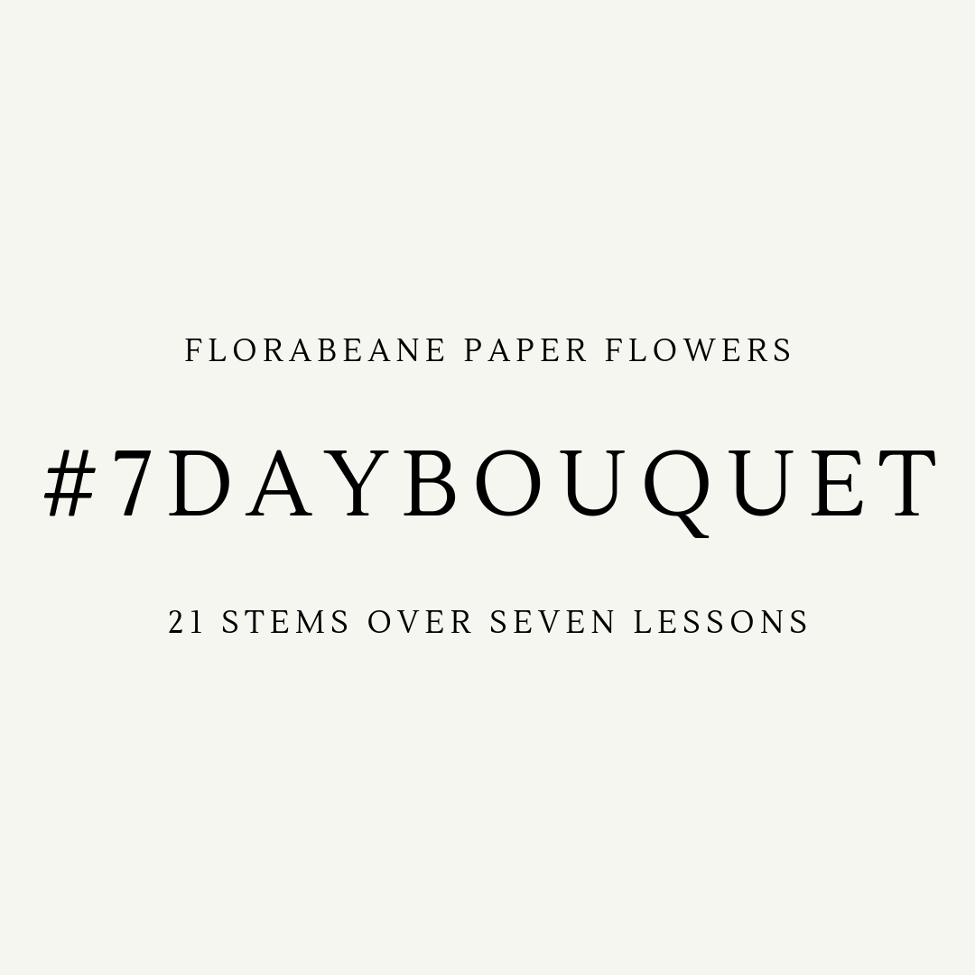 Try out Florabeane's 7 Day Bouquet