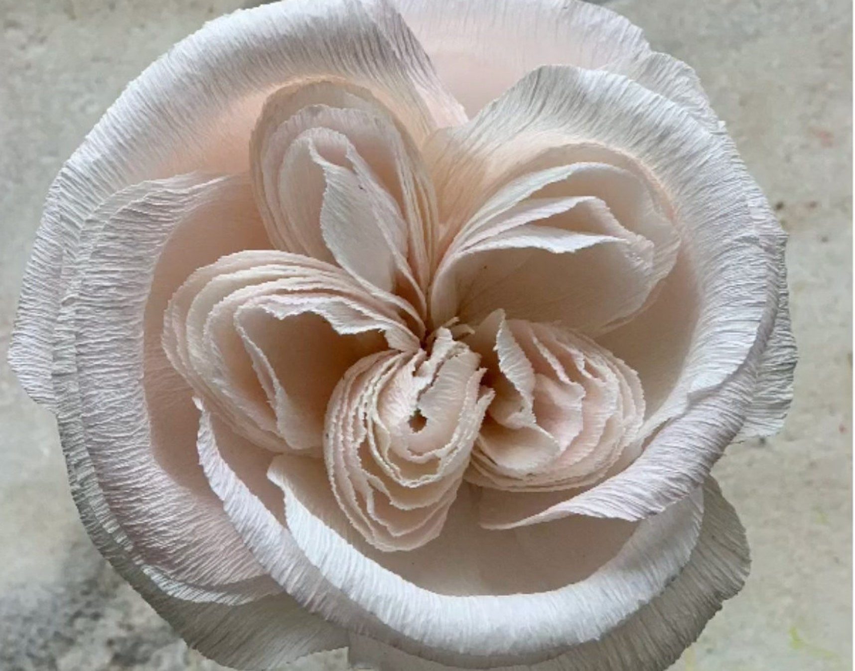 crepe paper david austin rose