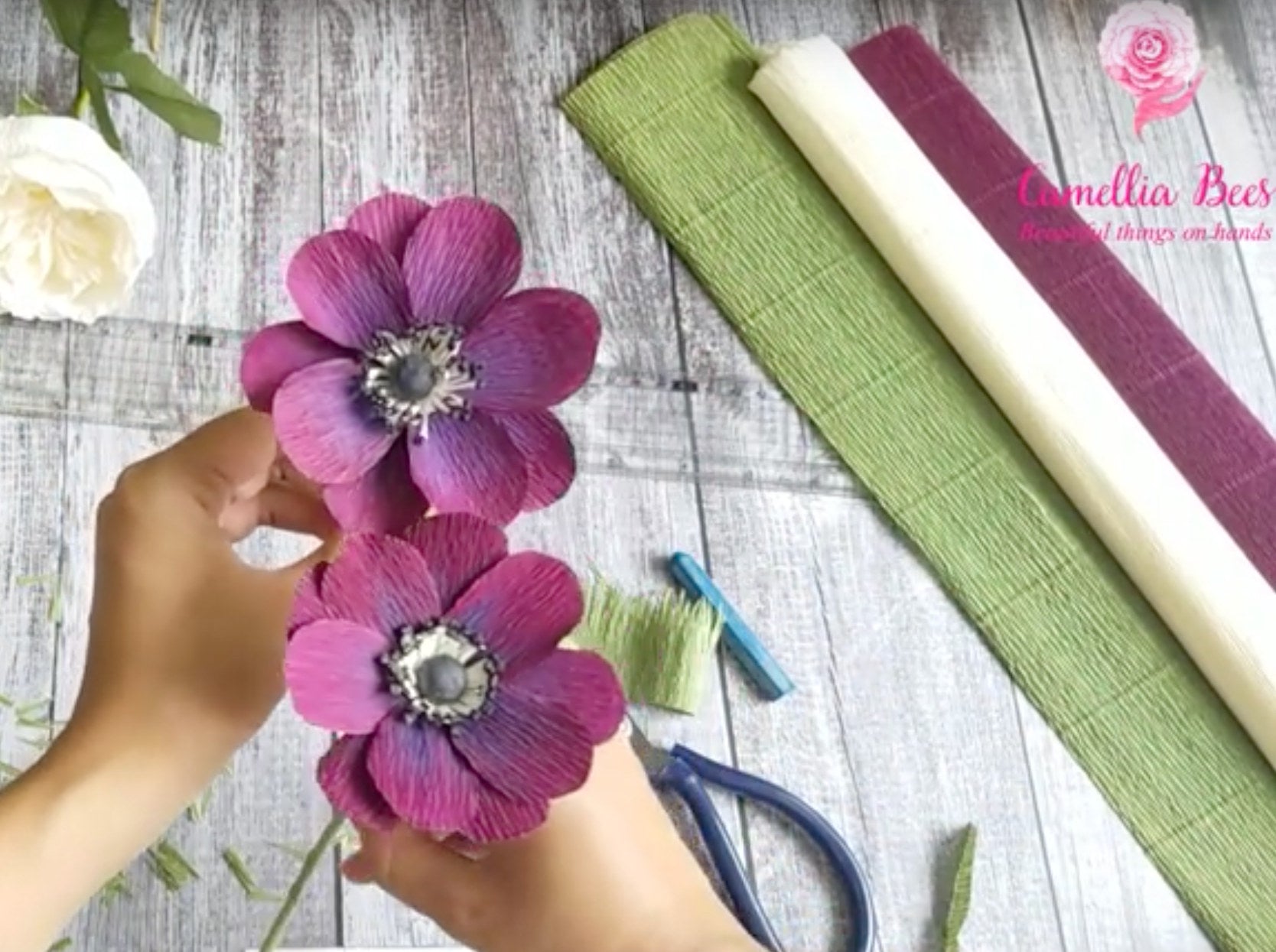 anemone crepe paper flower