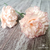 Carnation Crepe Paper Flowers DIY Video