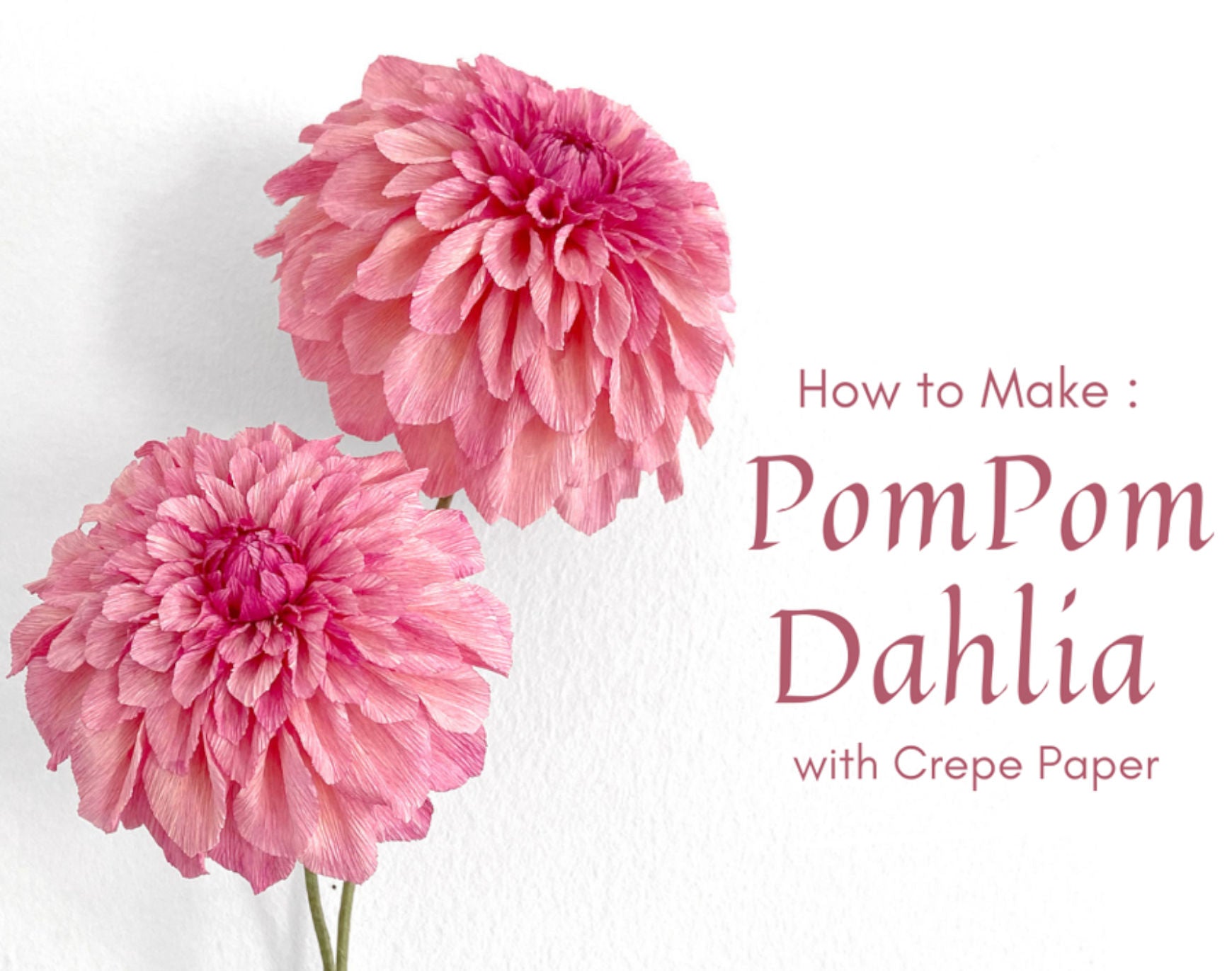 pom pom crepe papeer dahlia