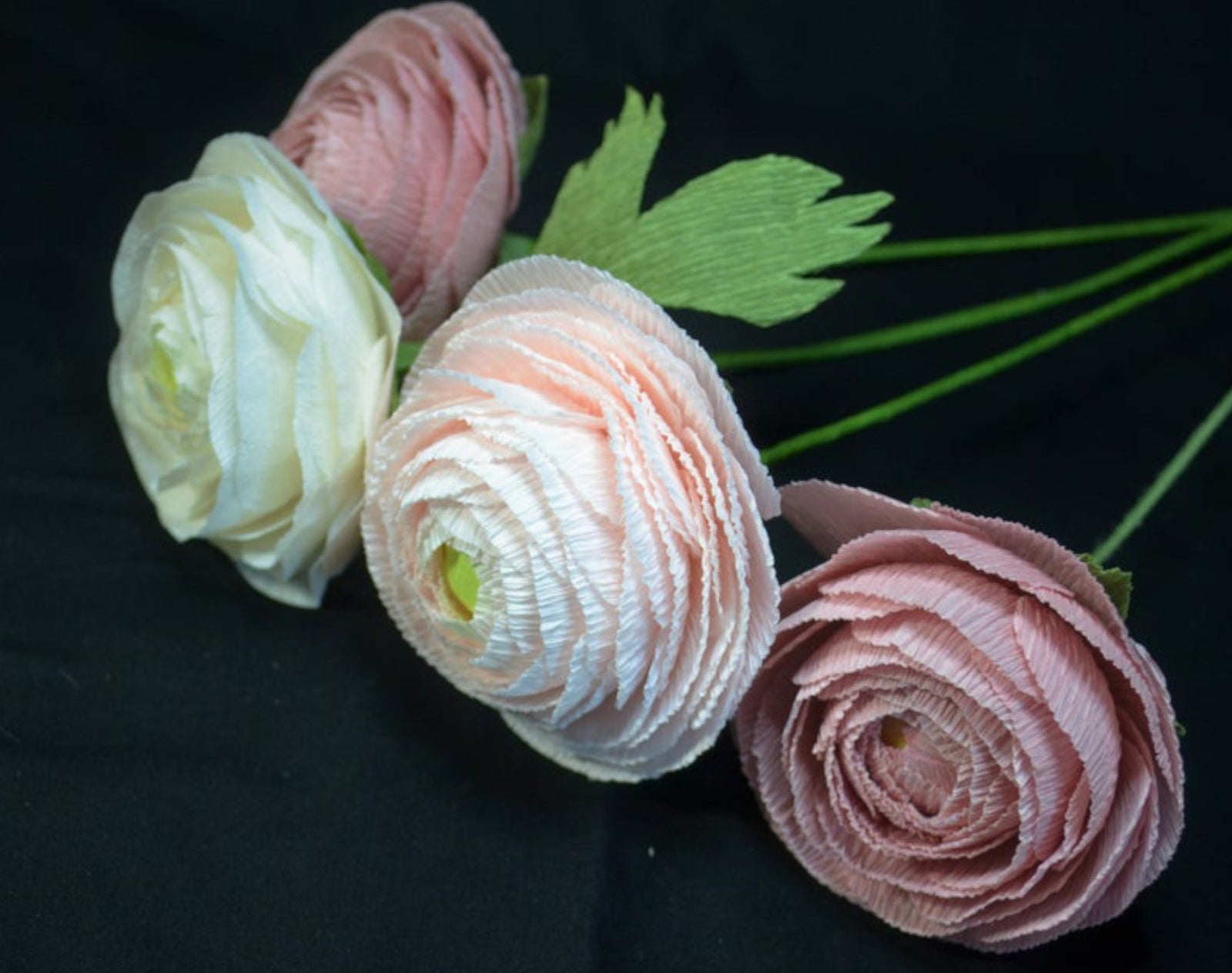 ruth mercado ranunculus