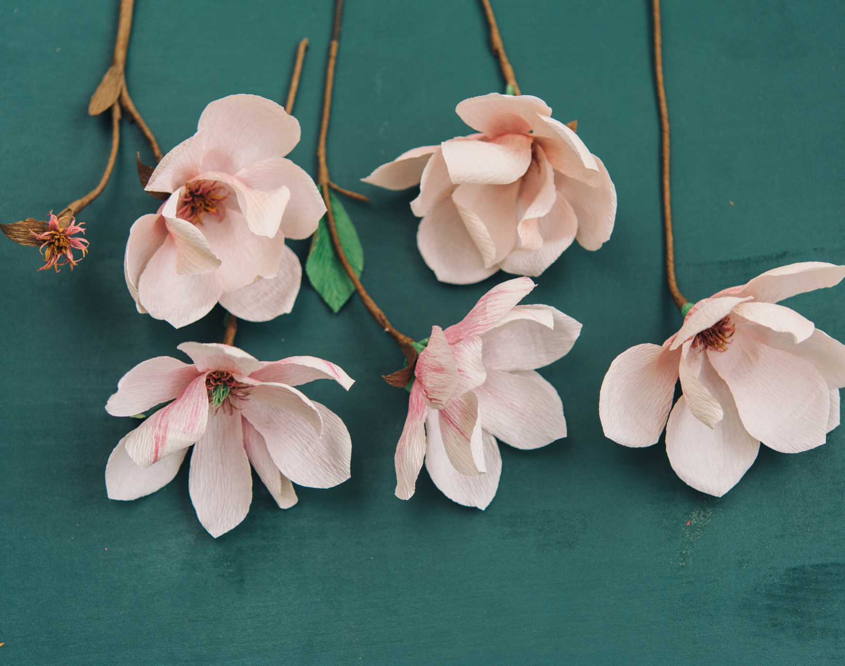 crepe paper magnolia 