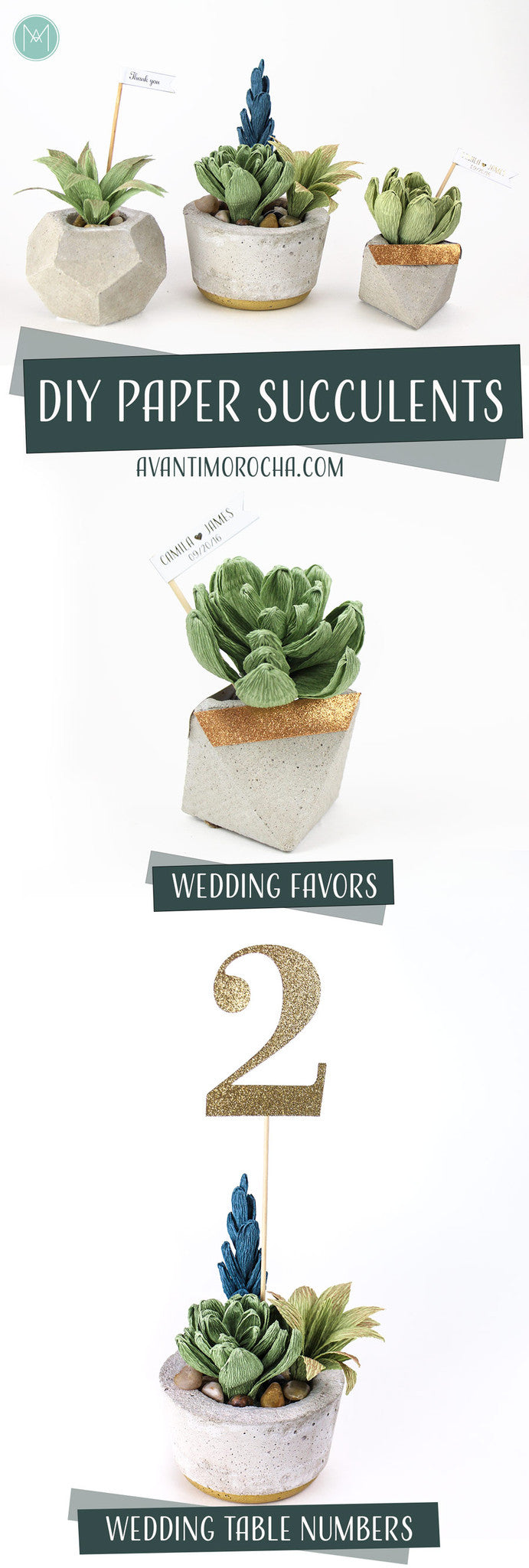 DIY Paper Succulents / Suculentas de Papel Collab: Carte Fini - Part 1