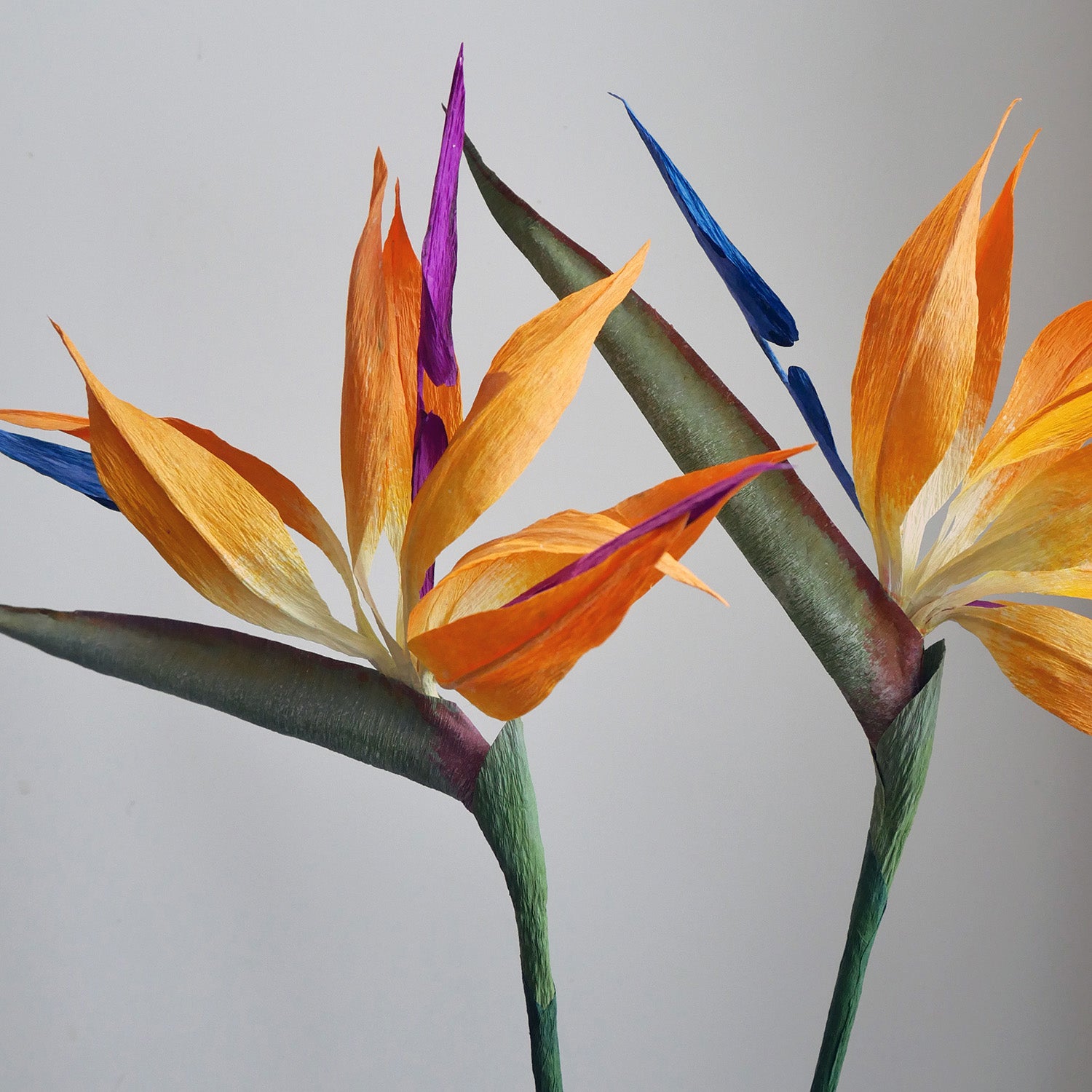 Catherine Oxley - BOUQ PAPER FLOWERS - Carte Fini