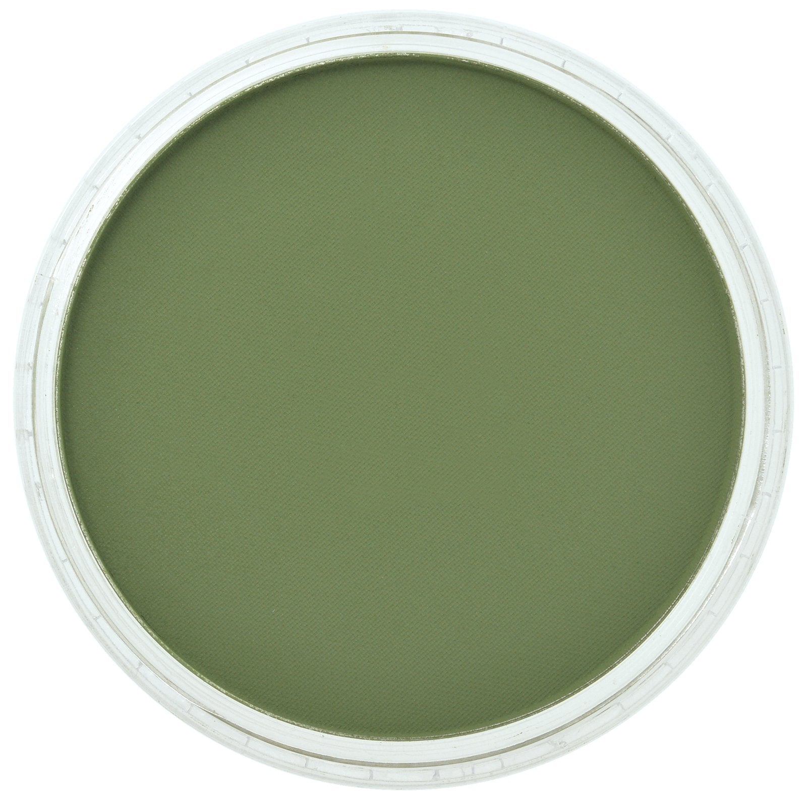 PanPastel - 660.3 CHROMIUM OXIDE GREEN SHADE