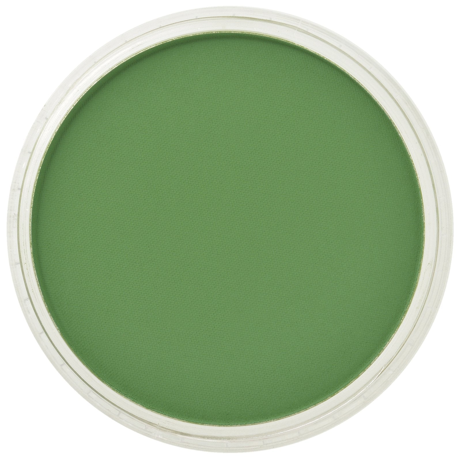 PanPastel - 660.5 CHROMIUM OXIDE GREEN