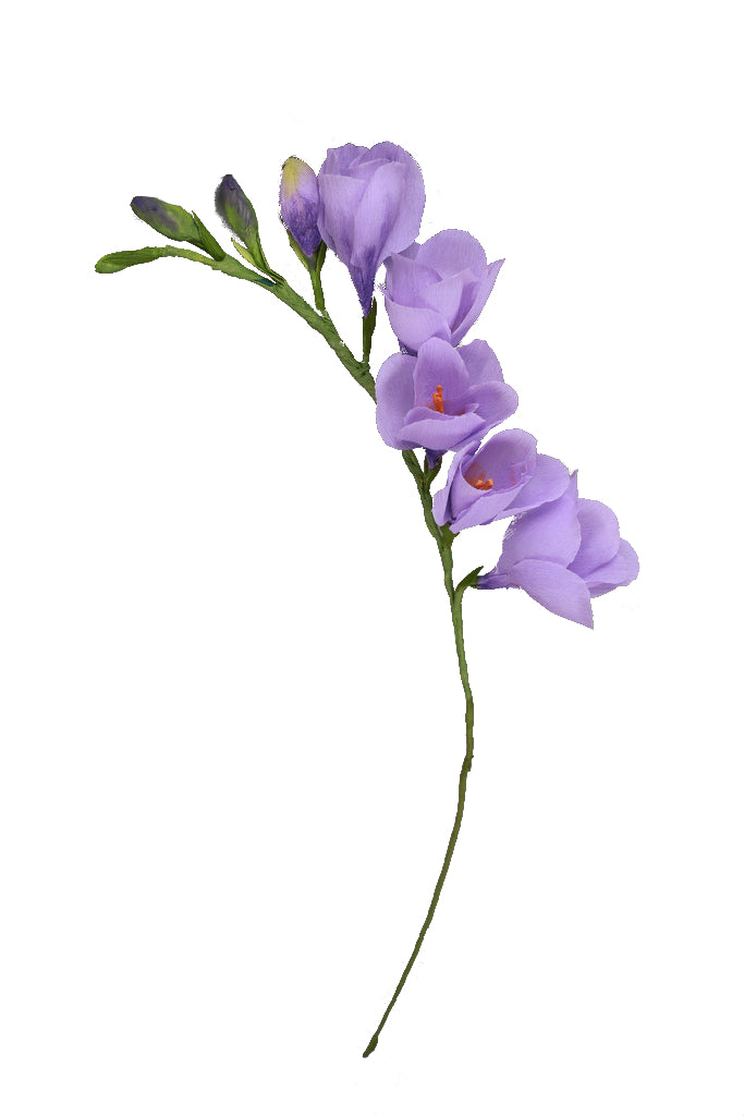 Freesia - Individual floral stem