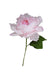 Juliet Rose - Individual floral stem