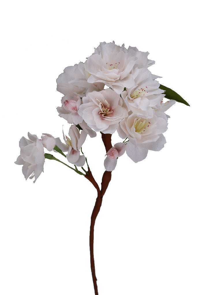 Cherry Blossoms  - Individual floral stem