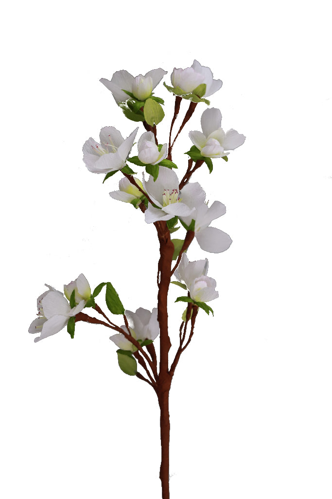 Apple Blossoms  - Individual floral stem