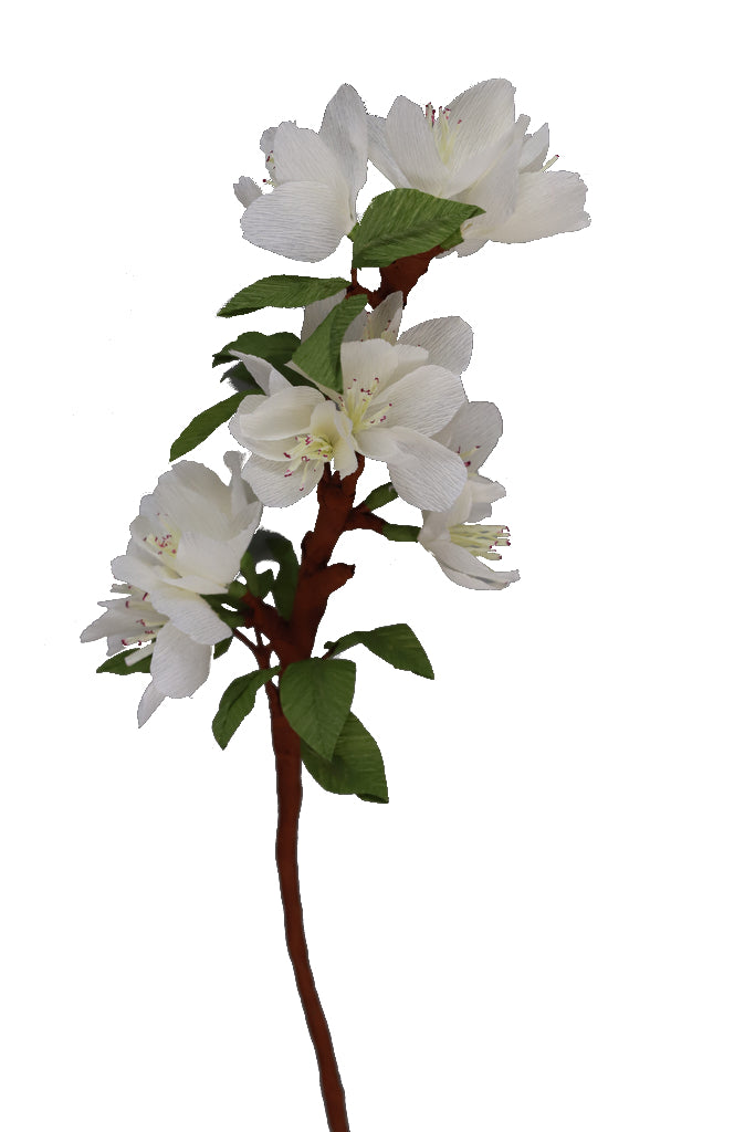 Orange Blossoms  - Individual floral stem